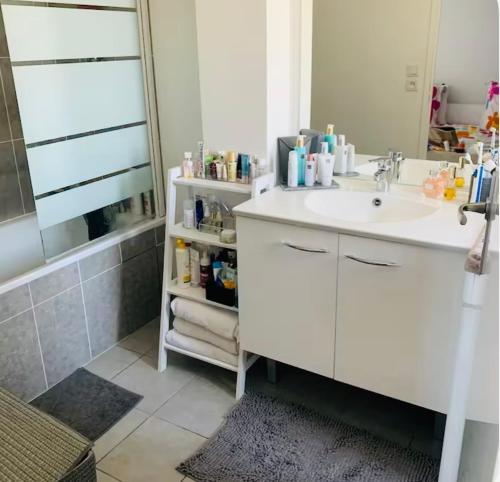 une salle de bain avec un lavabo blanc et une douche dans l'établissement Mendes seixas, à Villepinte