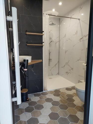 a bathroom with a shower and a toilet at Appartement adapté PMR 4 personnes Saint Gervais les Bains in Saint-Gervais-les-Bains
