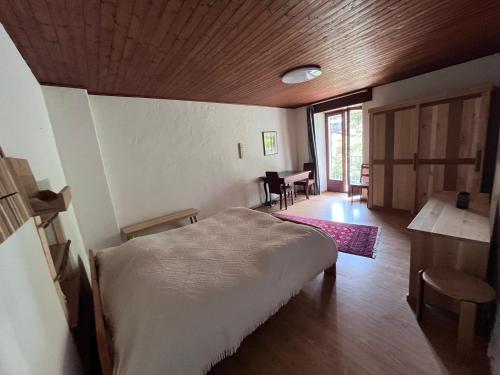 Schönes Rustico in bester Lage - 2 min an den See