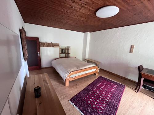 Schönes Rustico in bester Lage - 2 min an den See