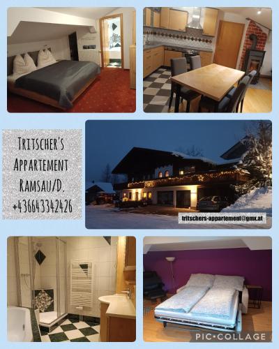 Tritscher's Appartement Ramsau Dachstein