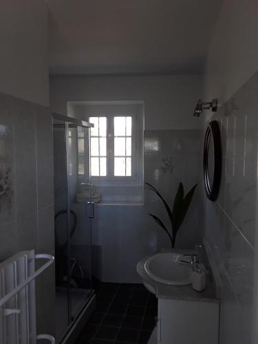 La salle de bains est pourvue d'un lavabo, d'une douche et d'une fenêtre. dans l'établissement La Maison Bleue - La Belle Epoque, à Rosières