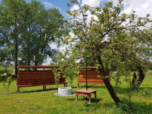 a park bench next to a tree in a field at Ferienwohnung Sonnenblume in Gerswalde