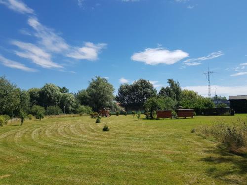 a field with benches and trees on a sunny day at Ferienwohnung Sonnenblume in Gerswalde