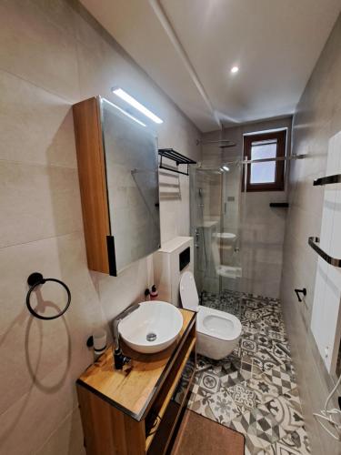 a bathroom with a toilet and a sink and a shower at Kasa di legno apartman 3 in Kopaonik