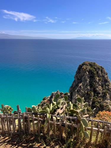 Paesaggio naturale nelle vicinanze dell'appartamento