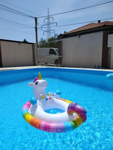 a unicorn float in a swimming pool at Andjela LUX in Belgrade