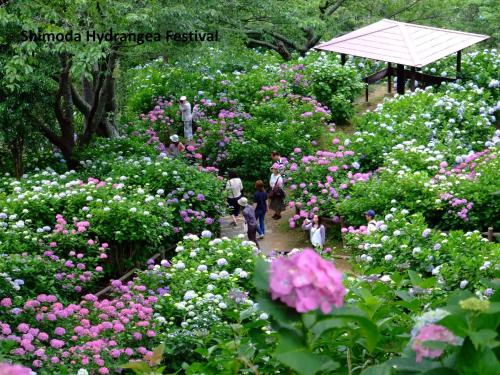 a group of people walking through a garden of flowers at Ocean View Hiromi SPA Hotel温泉と絶景の宿 in Shimoda