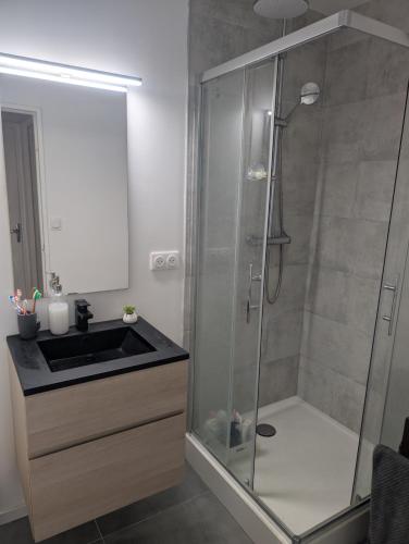 une salle de bain avec douche et lavabo dans l'établissement Anglet, Chambre chez l'habitant, à Anglet