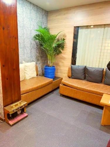 ein Zimmer mit zwei Bänken und einem Fenster mit einer Pflanze in der Unterkunft Hotel PB Thana in Shillong