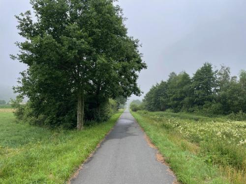 a road with a tree in the middle of a field at NEU - Feinzeit Chalet mit privater Sauna in Frensdorf