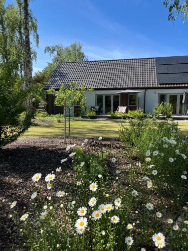 姆热日诺Apartamenty Słoneczna 18 Mrzeżyno的庭院里带花卉的花园的房子