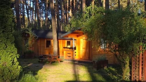 Ośrodek Eldorado - domki letniskowe