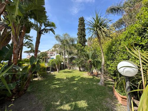 Villa Robienne photo 3