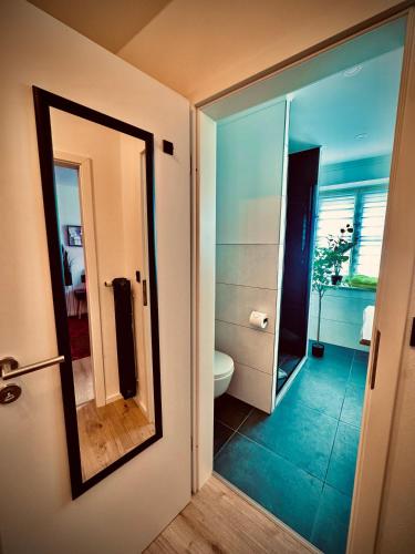 a bathroom with a toilet and a mirror on the door at Three Rivers 3 in Passau