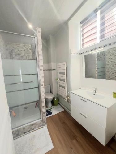 une salle de bain avec une douche, un lavabo et des toilettes dans l'établissement Rue de la levade, à Daglan