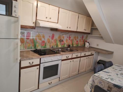 Kuchyň nebo kuchyňský kout v ubytování Apartment Eva