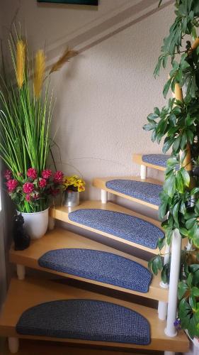 a row of steps with plants and flowers on them at Ferienwohnung Vier Sterne in Goslar