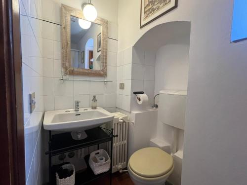 San Zanobi a CasignanoにあるWine Apartments Florence Lawrenceの洗面台、トイレ、鏡のあるバスルーム
