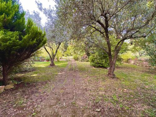 a dirt road with trees in a field at La casa nel Bosco in Manziana