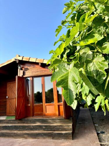 a wooden building with glass doors and a tree at Casa de Madera in El Palmar