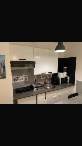 une cuisine avec un évier et une cuisinière four supérieur dans l'établissement Cozy studio in Neuilly-sur-Marne, à Neuilly-sur-Marne