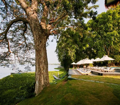 a tree with tables and umbrellas next to a lake at EKHO Safari Tissa in Tissamaharama