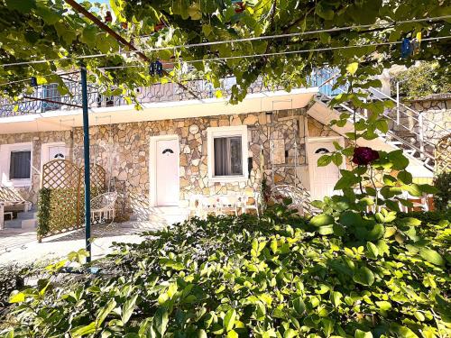 Κήπος έξω από το Quiet Blue Guesthouse