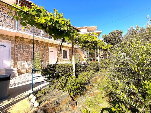 Κήπος έξω από το Quiet Blue Guesthouse