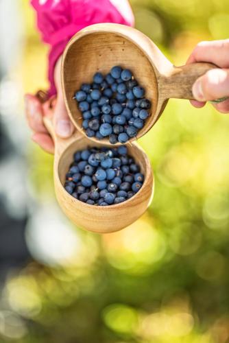 a person holding a wooden spoon filled with blueberries at Storsätra Fjällhotell in Grövelsjön