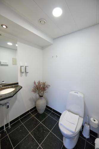 a bathroom with a toilet and a sink at Hotel Hans Egede in Nuuk