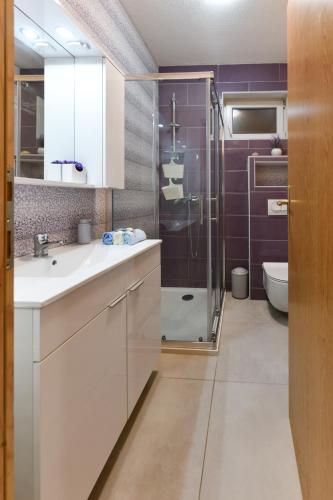 a bathroom with a shower and a sink and a toilet at Apartman PIK in Karlobag