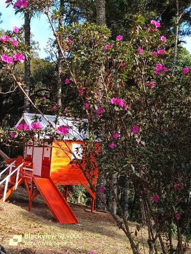 Taman di luar Studio Árvore da vida