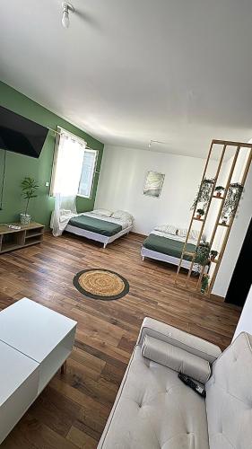 - un salon avec des murs verts et du parquet dans l'établissement Appartement duplex avec terasse centre-ville Béziers, à Béziers