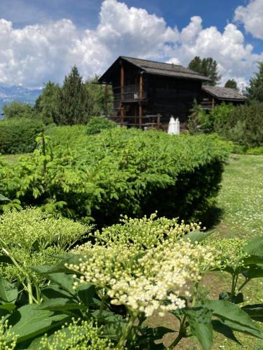 Zahrada ubytování Le Hameau des Biquettes