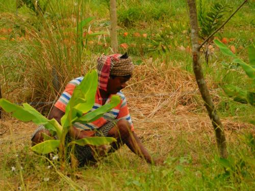 a man sitting in the grass in a field at Gram Bangla Retreat in Kolkata