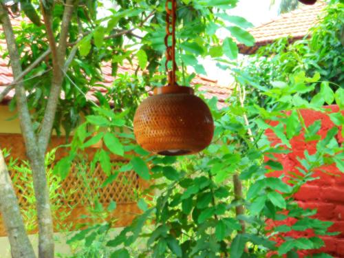 a hanging bird feeder hanging from a tree at Gram Bangla Retreat in Kolkata