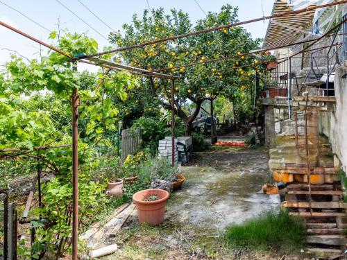 Κήπος έξω από το Apartment Casa Gian by Interhome