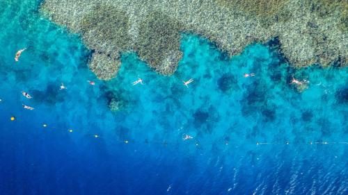 an aerial view of the ocean with people in the water at Grand Oasis Resort in Sharm El Sheikh