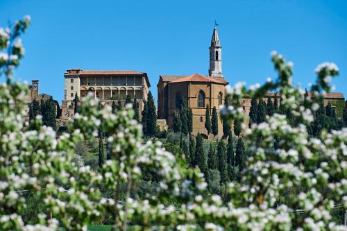 a building on top of a hill with trees at Agriturismo Il Casalino in Pienza