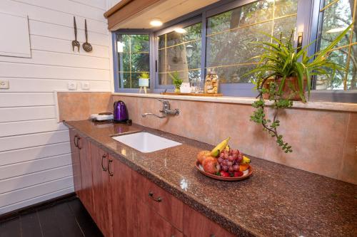 a kitchen with a sink and a bowl of fruit on a counter at אביב בלב in Had Nes