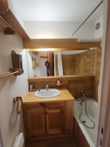une salle de bain avec un lavabo, une douche et un miroir dans l'établissement Le petit cocon du belvédère, à Montvalezan