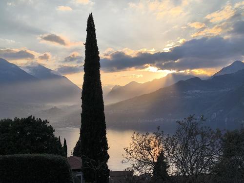 a view of a lake and mountains with a tree at Villa Grazie Mille - Charming Lake Como Escape in Perledo