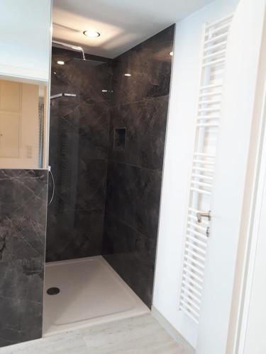 a bathroom with a shower with black tile at Schafberg Luxury Apartment in St. Wolfgang