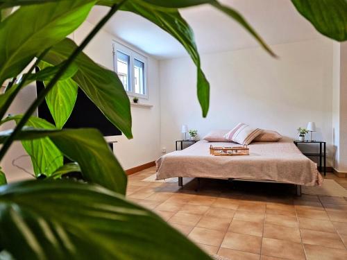 1 dormitorio con 1 cama y una gran planta verde en Ca' dal Bagatt Losone Campagna, en Losone