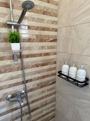 a shower in a bathroom with a wooden wall at Adam & Eve Family Apartment in Dobra Voda