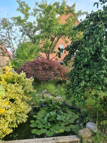 a garden with a pond with lilies and plants at Hyggelig ferielejlighed m have tæt på søerne in Silkeborg