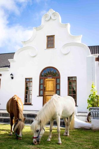 two horses grazing in front of a white house at Victoria Heights B&B in George