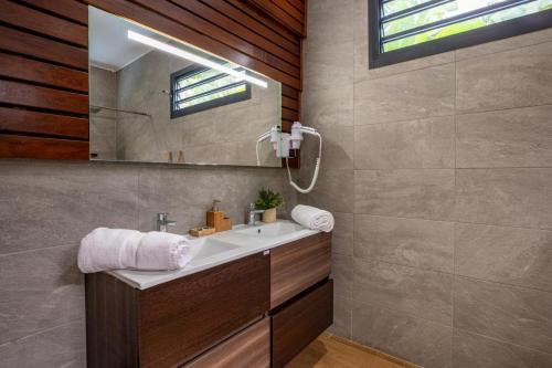 Ένα μπάνιο στο Villa Remeitch 4 etoiles Luxe avec Piscine privee & Sauna