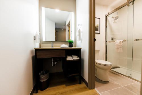 a bathroom with a sink and a toilet and a mirror at Hilton Garden Inn Clackamas Portland in Clackamas